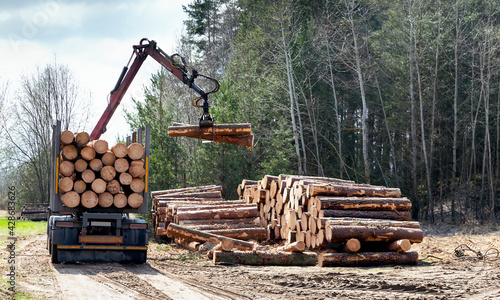 Log loader or forestry machine loads a log truck