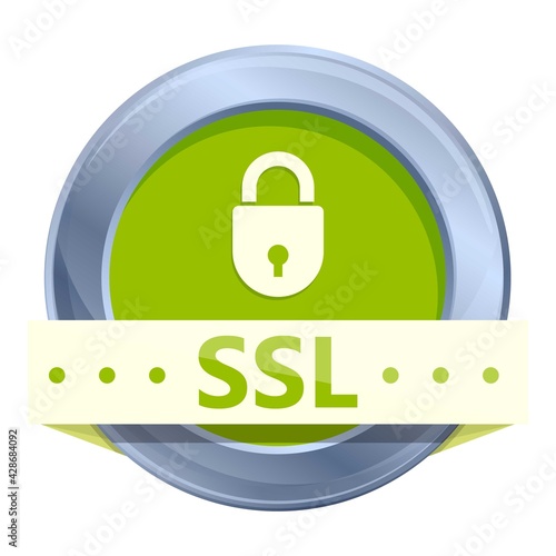 Encryption ssl certificate icon. Cartoon of Encryption ssl certificate vector icon for web design isolated on white background