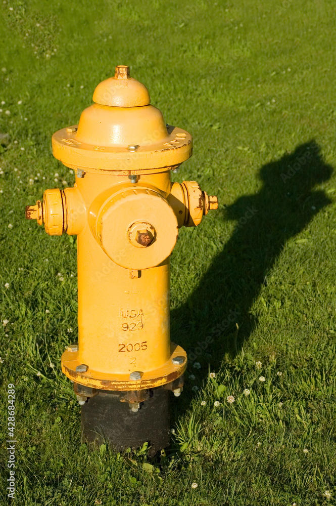Fire Hydrant in Grass Vertical Fire Hydrant in Grass Vertical