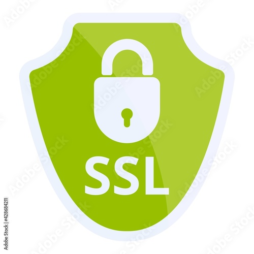 Access ssl certificate icon. Cartoon of Access ssl certificate vector icon for web design isolated on white background