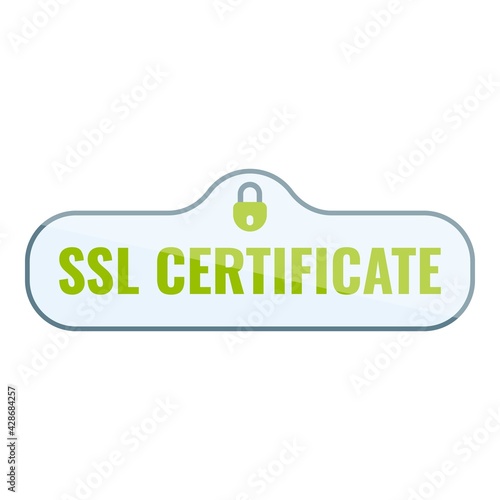 Data ssl certificate icon. Cartoon of Data ssl certificate vector icon for web design isolated on white background