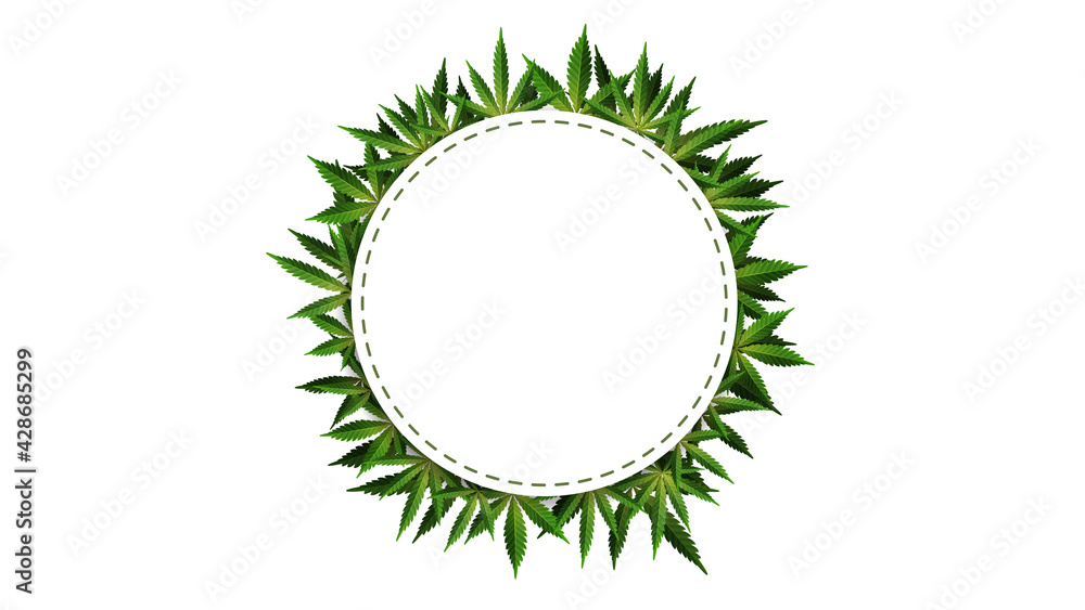 Circle frame of hemp leaves around a white empty space. Cannabis Leaf Frame Template for the Cannabis Industry