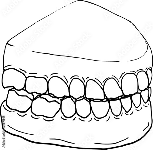 Hand-drawn outline of a set of teeth with gums. Good for dentists or creepy or educational coloring books.