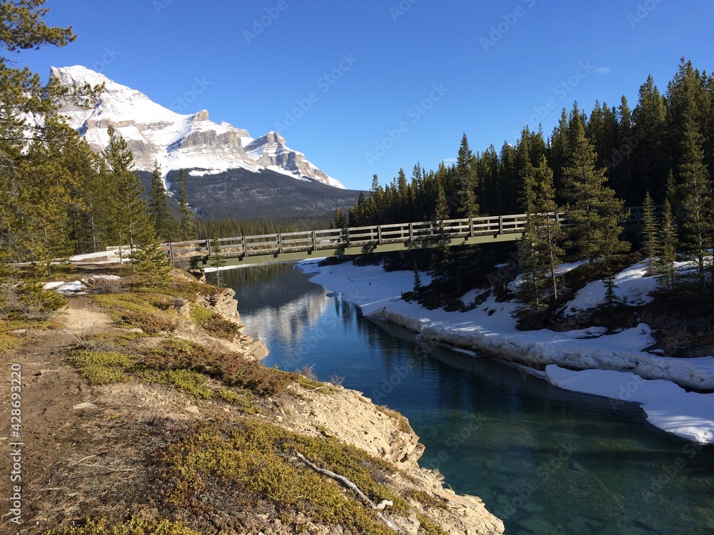 Spectacular view of the Icefield Parkway Spectacular view of the Icefield Parkway
