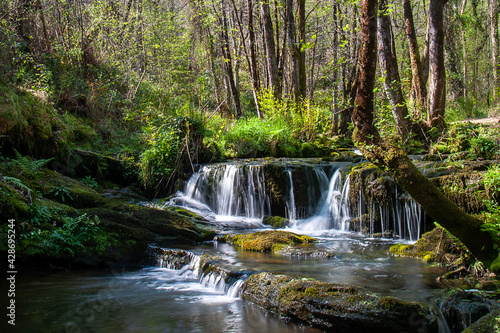 Cascada de r  o que fluye por un bosque