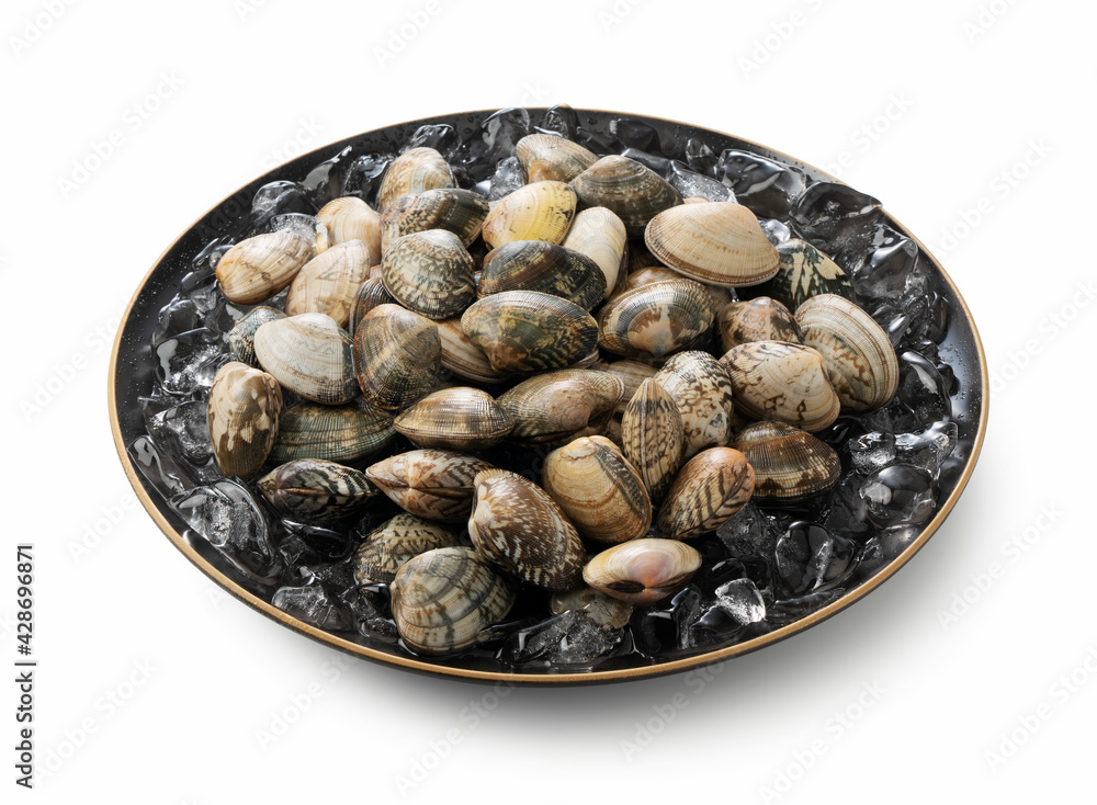 Asari clams on a white background Asari clams on a white background