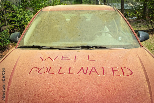 A thick layer of pine pollen on a car hood during spring with a funny note written in it that could mean maybe this is where new cars come from. photo