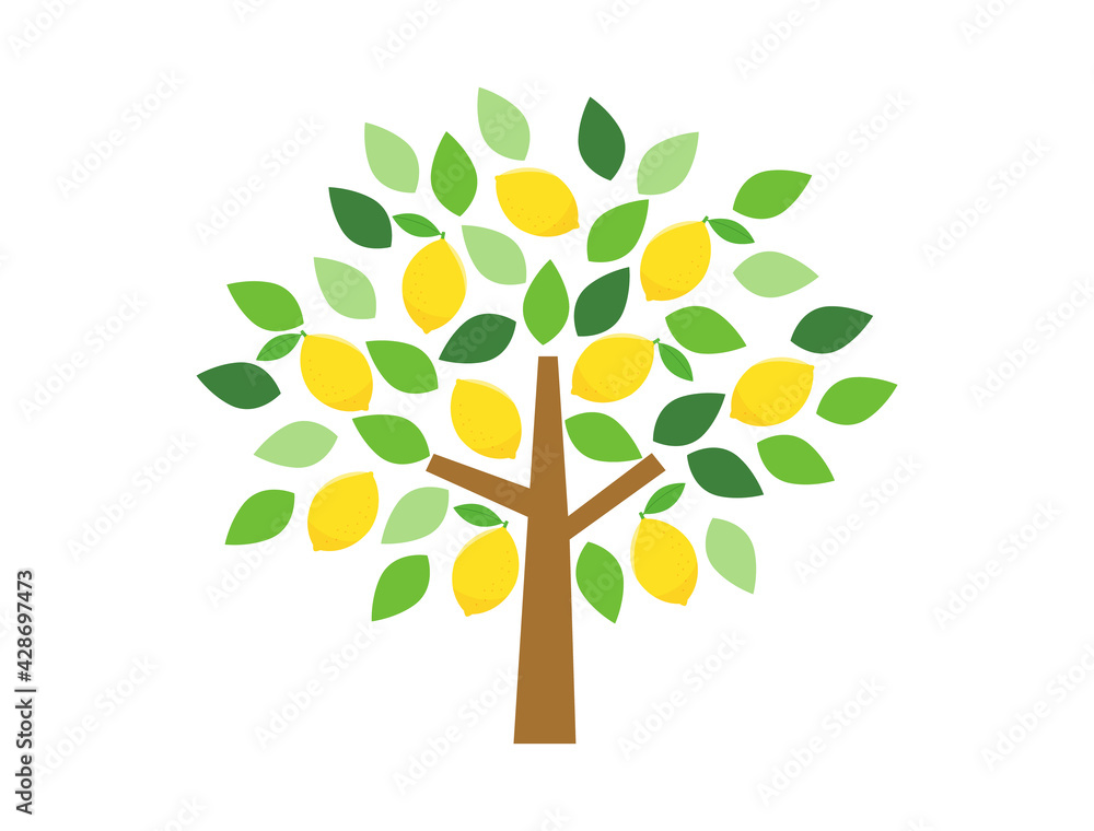 レモンの木のイラスト Stock Vector Adobe Stock
