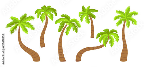 Coconut palm tree flat cartoon set. Tropical palm trees, nature design element. Hand drawn tree with leaves, mature and young plants of tropical forest. Isolated on white vector illustration