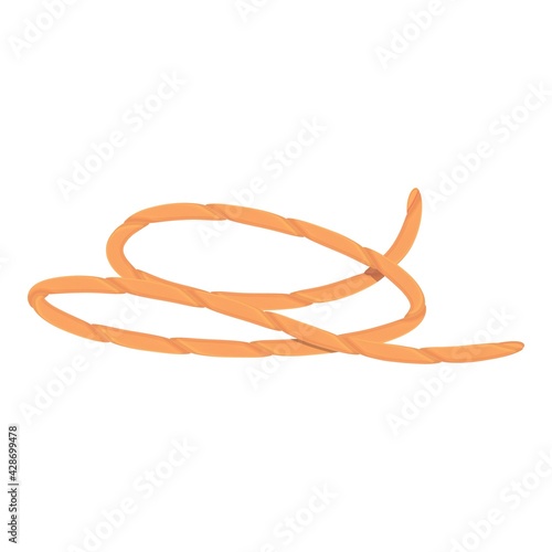 Man lasso icon. Cartoon of Man lasso vector icon for web design isolated on white background