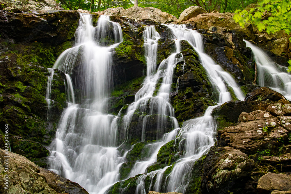 Flowing waterfall featuring rocks, moss, and trees Flowing waterfall featuring rocks, moss, and trees