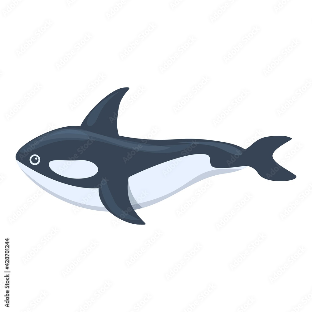 Fototapeta premium Killer whale arctic icon. Cartoon of Killer whale arctic vector icon for web design isolated on white background