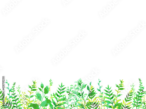 Wallpaper Mural 手描き、水彩風のグリーンのイラストフレーム Torontodigital.ca