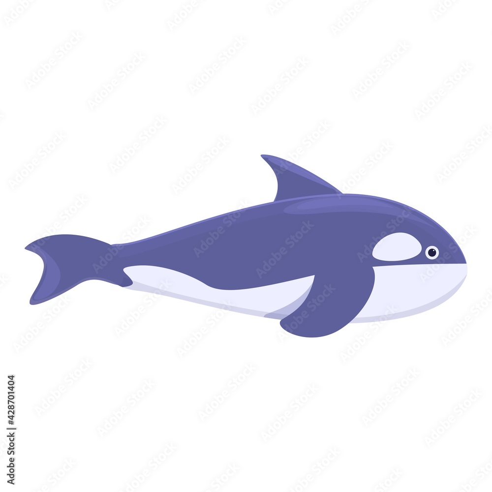 Water killer whale icon. Cartoon of Water killer whale vector icon for web design isolated on white background Water killer whale icon. Cartoon of Water killer whale vector icon for web design isolated on white background