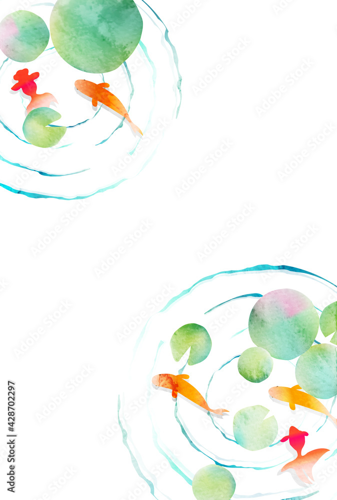 金魚　水草　暑中見舞い　背景