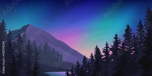 Mountain forest at the northern lights landscape.