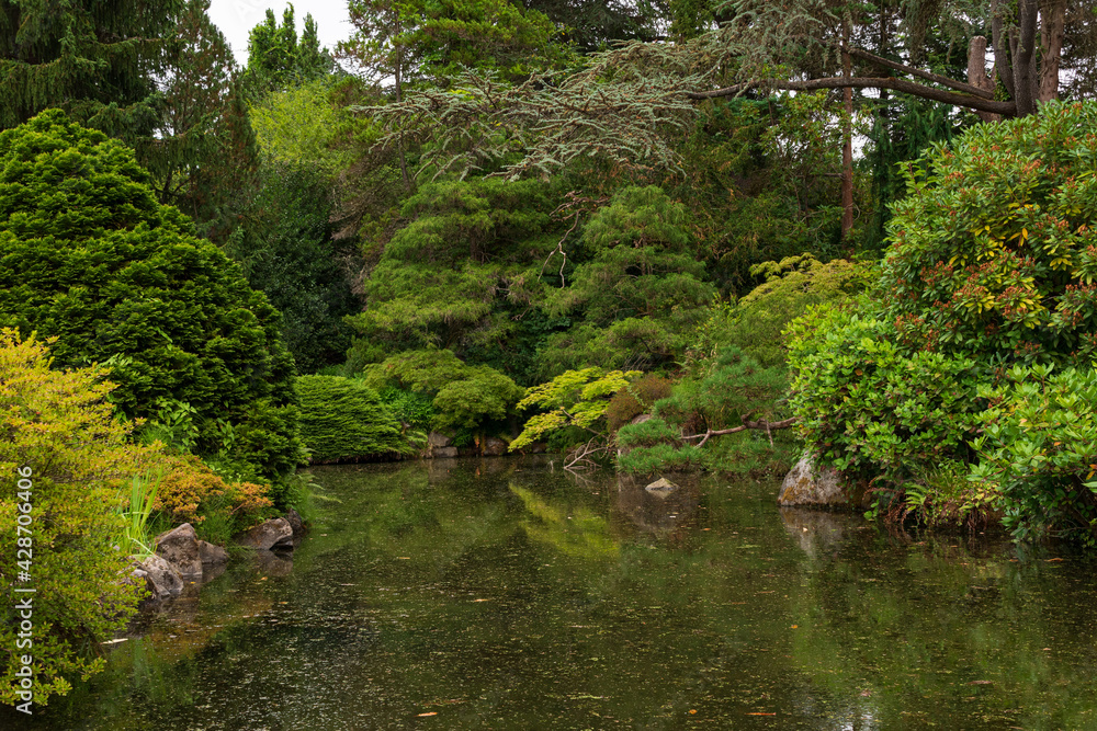 garden with pond