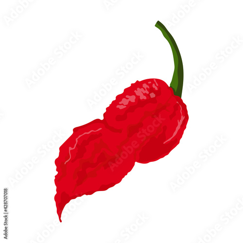 Bhut Jolokia Hot Pepper. Vector stock illustration on isolated white background.