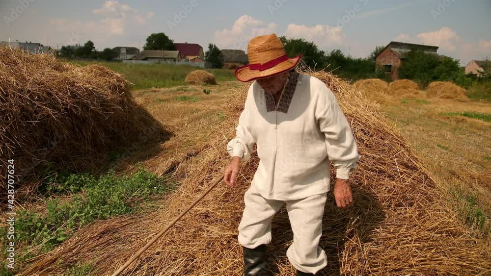 Tired grandfather after hard work sits down on a haystack, rests, wipes sweat Tired grandfather after hard work sits down on a haystack, rests, wipes sweat
