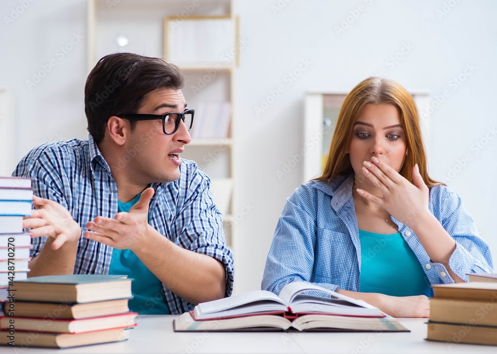 Pair of students studying for university exams Pair of students studying for university exams