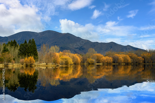 Yellow and orange forests in autumn reflect in still mirrored water, beautiful mountains and cloudy sky in rural New Zealand South Island, calm and refreshing atmosphere.