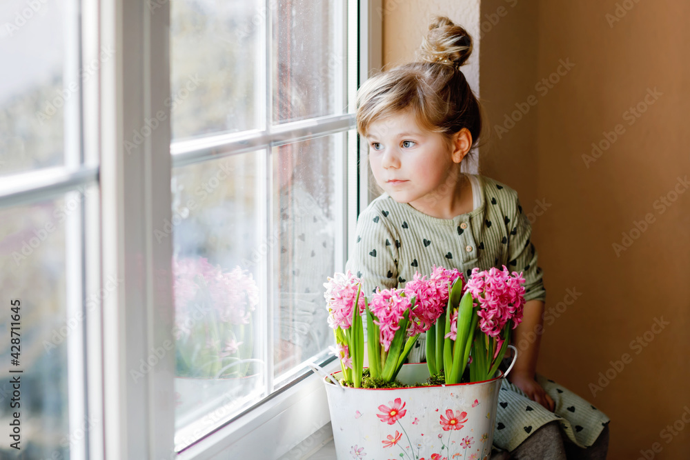 Little toddler girl sitting by window with blossoming pink hyacinth flowers. Happy child, indoors. Mother's day, valentine's day or birthday and spring concept. Little toddler girl sitting by window with blossoming pink hyacinth flowers. Happy child, indoors. Mother's day, valentine's day or birthday and spring concept.