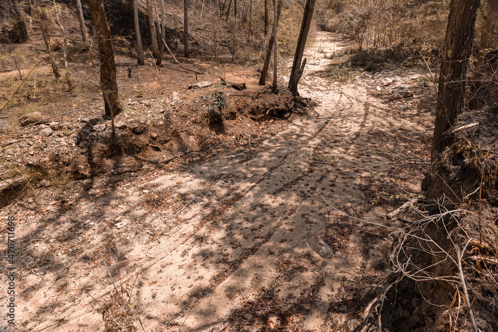 Obraz premium Dry creek bed in summer , northern Thailand.