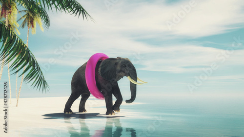 Photography Elephant vacation