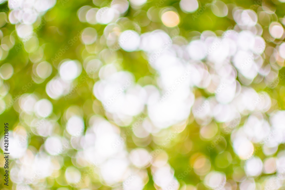 Obraz premium Beautiful bokeh.