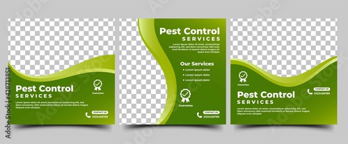 Pest control square banner design template collection. Modern banner design with green background color and abstract frame. Suitable for social media post, flyers, banners, and web.