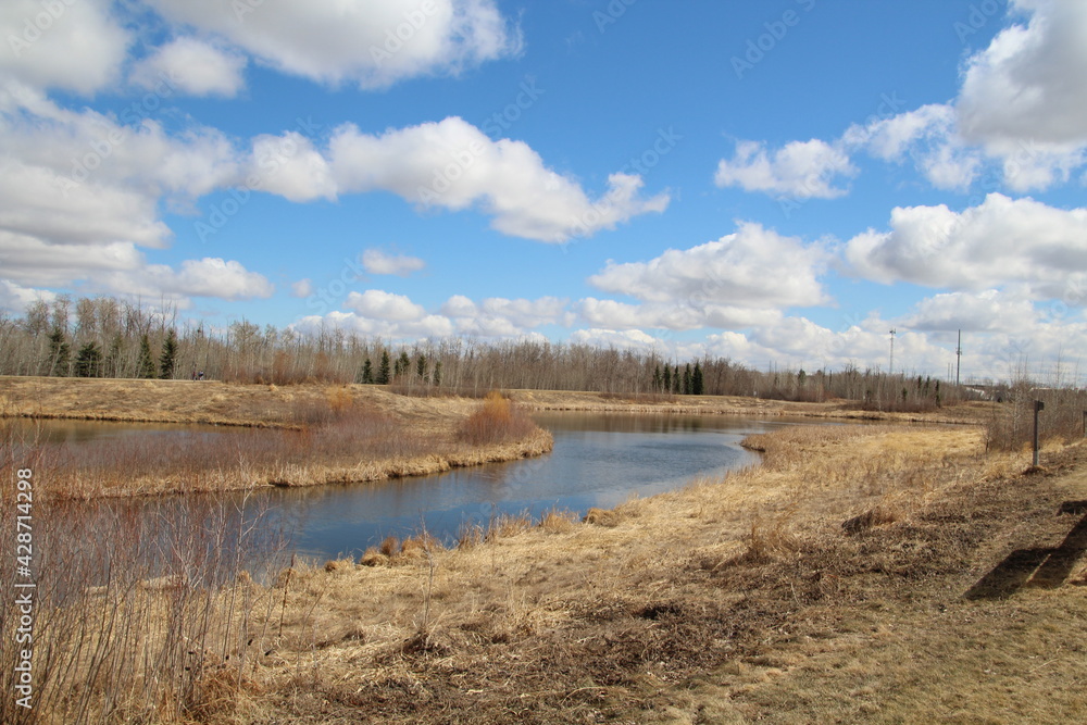 Obraz premium Spring On The Land, Pylypow Wetlands, Edmonton, Alberta