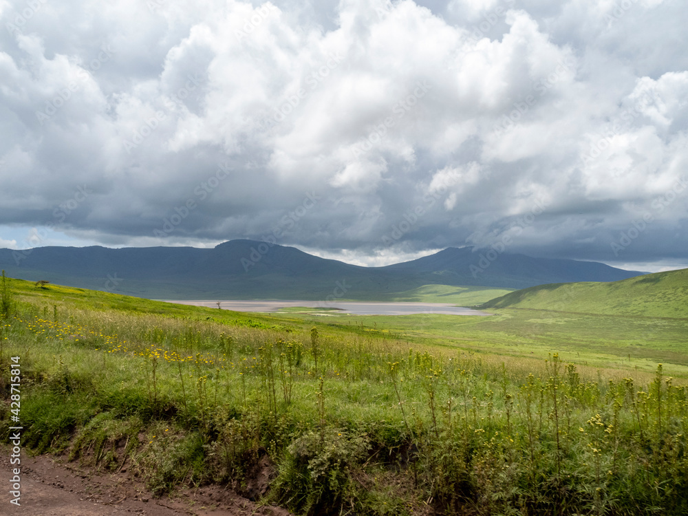 Ngorongoro Crater, Tanzania, Africa - March 1, 2020: Scenic view of Ngorongoro Crater from above Ngorongoro Crater, Tanzania, Africa - March 1, 2020: Scenic view of Ngorongoro Crater from above