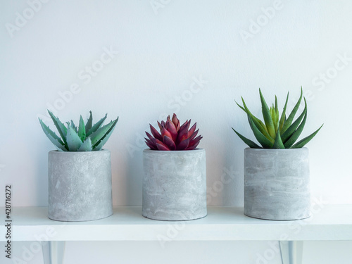 DIY concrete plant pot on white wall background