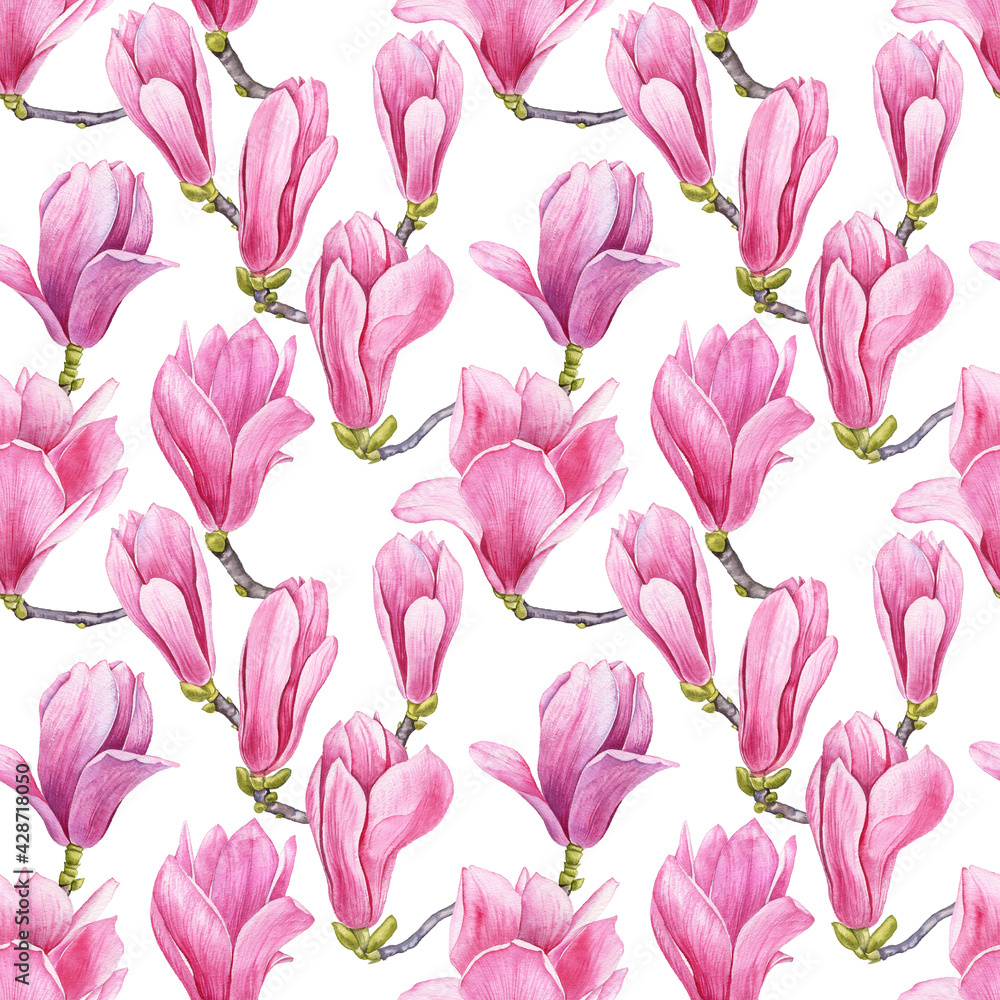 watercolor drawing pattern pink magnolia flowers at white background
