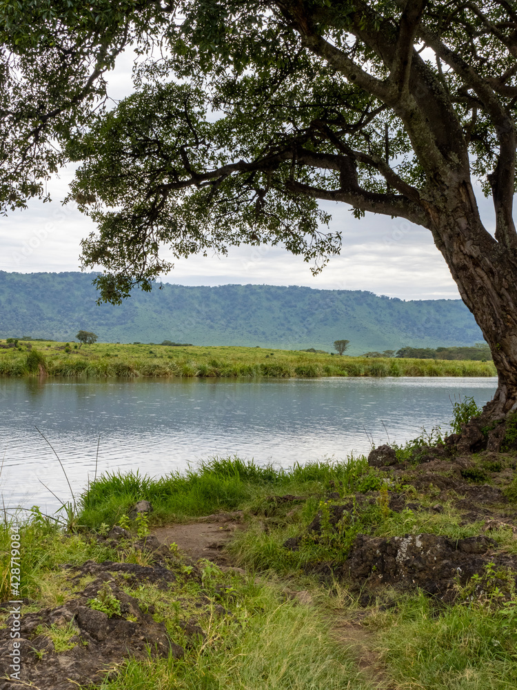 Ngorongoro Crater, Tanzania, Africa - March 1, 2020: Calm lake in Ngorongoro Crater