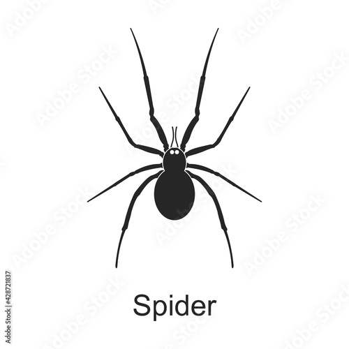 Spider vector black icon. Vector illustration pest insect spider on white background. Isolated black illustration icon of pest insect.
