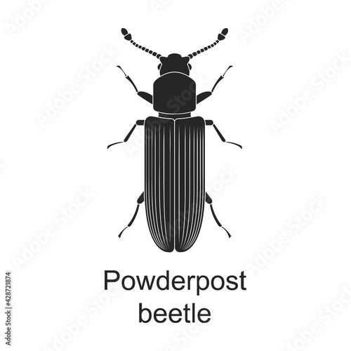 Powderpost beetle vector black icon. Vector illustration pest insect powderpost beetle on white background. Isolated black illustration icon of pest insect. © VectorVicePhoto