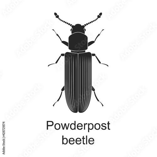 Powderpost beetle vector black icon. Vector illustration pest insect powderpost beetle on white background. Isolated black illustration icon of pest insect.