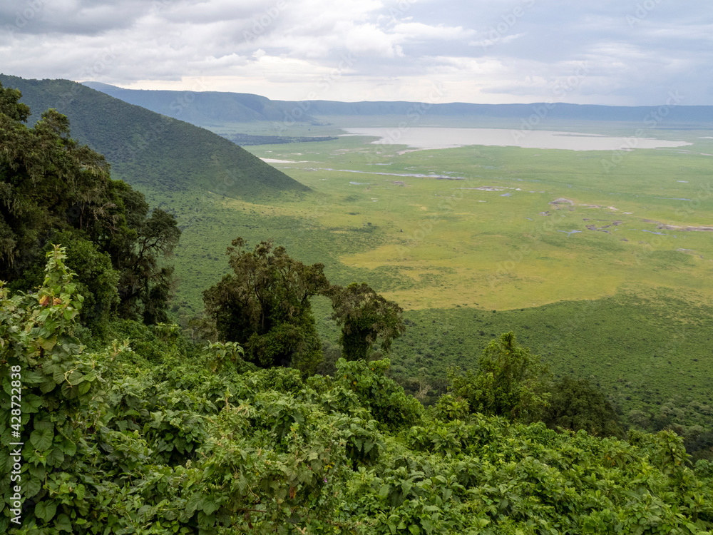 Φωτογραφία Ngorongoro Crater, Tanzania, Africa - March 1, 2020: Scenic view of Ngorongoro C