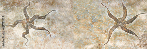 Horizontal banner with two petrified fossil starfish in stone photo