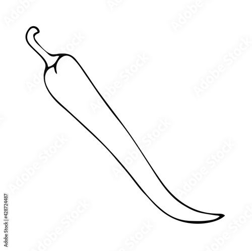 Outline simple image of chili pepper. Vector illustration of a vegetable. Summer season