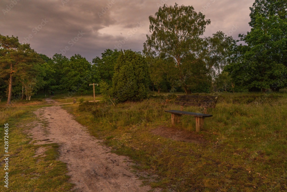A bench with a view at the evening landscape of the Lueneburg Heath near Oberhaverbeck, Lower Saxony, Germany