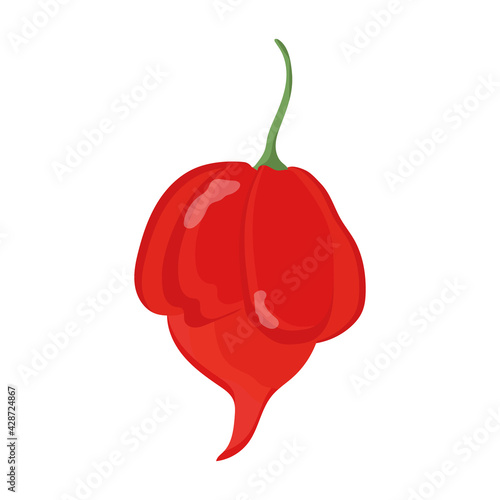 Trinidad Scorpion Hot Pepper. Vector stock illustration on isolated white background.