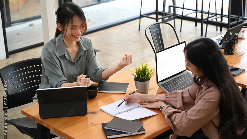 Two successful businesswoman working together in modern office. Two successful businesswoman working together in modern office.