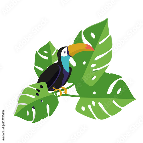 An exotic toucan bird sits on a branch of tropical greenery. Print, cartoon-style illustration. Vector, EPS 10.