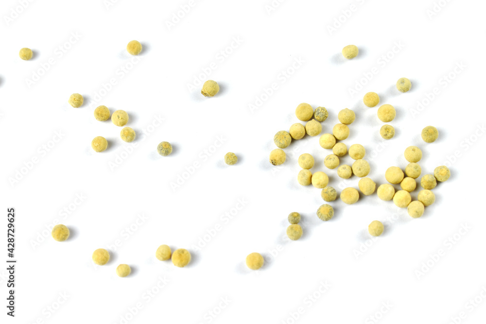pills isolated on white pills isolated on white