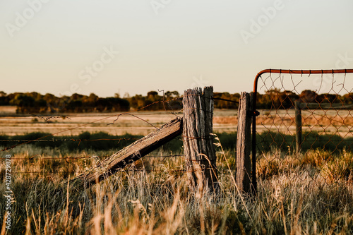 Vászonkép Beautiful rustic farm gate in the country set in dry field during times of droug