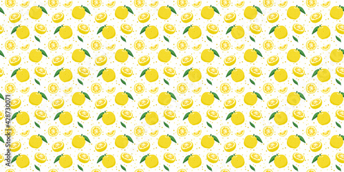 Yuzu japanese citron fruit seamless pattern vector illustration isolated on white background. Full, half and sliced citrus yuzu fresh fruit seamless texture.