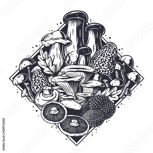Mushroom picking of morel. Vegetarian fungus boletus or cremini collection for food. Organic nature mushrooms or fungi porcini for healthy nutrition