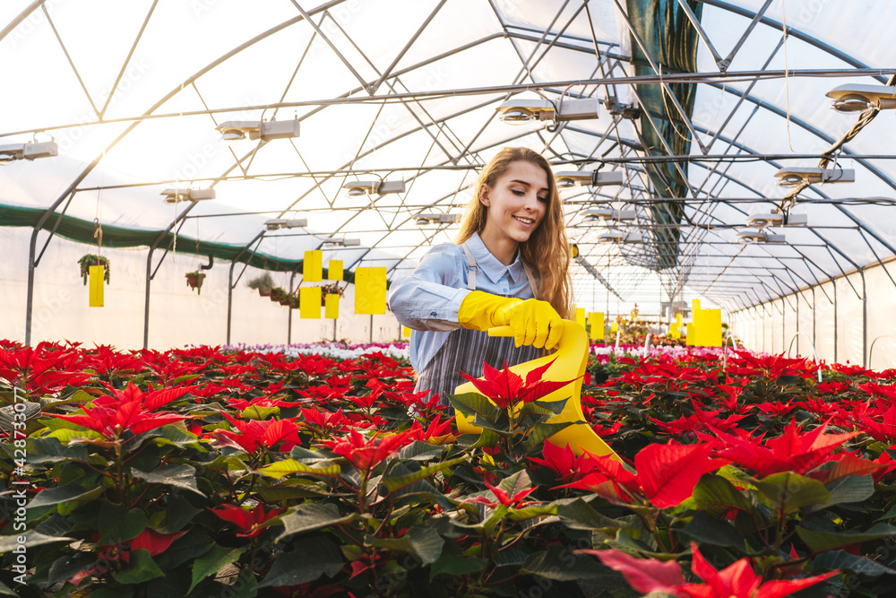 Woman in greenhouse with yellow watering can
